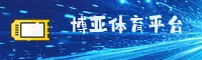 使用指南与常见问题